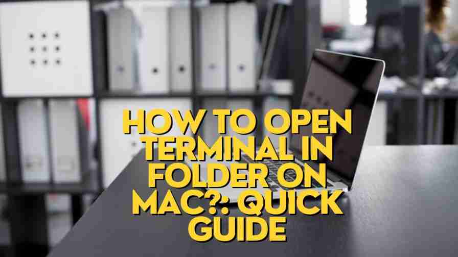 How to open Terminal in Folder on Mac?: Quick Guide